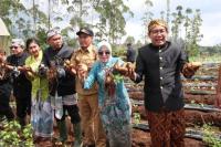 BUM Desa Tembus Pasar Ekspor, Gus Halim: Jaga Kualitas dan Kuantitas 