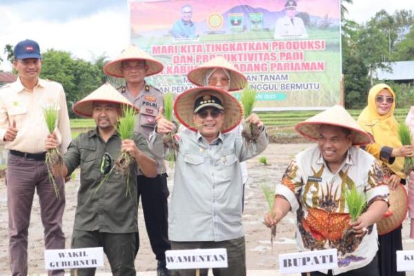 Akselerasi Ketahanan Pangan, Wamentan tanam padi di Padang Pariaman