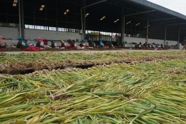 Brebes Amankan Kebutuhan Jabodetabek untuk Puasa dan Lebaran 2023