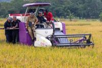 Panen Raya, Mentan SYL Kawal Produksi Padi Jateng