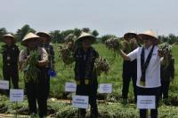 Mentan SYL dan Wamendag Lepas 175 Ton Bawang Merah ke PIKJ
