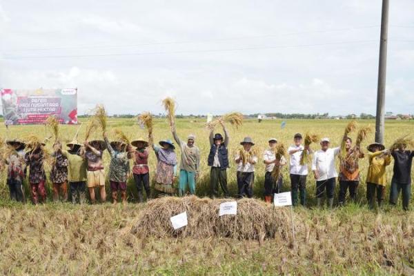 Panen raya nusantara satu juta hektare, Kementan apresiasi petani modern Serang