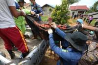 21 Korban Longsor di Natuna, Kepulauan Riau Teridentifikasi