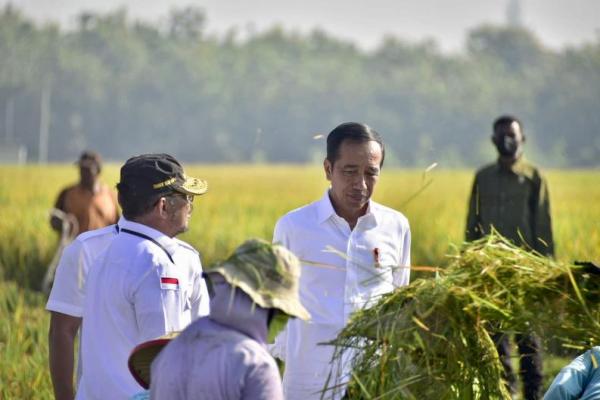 Presiden Jokowi mengingatkan pentingnya tetap menjaga keseimbangan harga gabah dan beras di tingkat petani, pedagang, dan masyarakat agar sama-sama tidak ada yang dirugikan. 