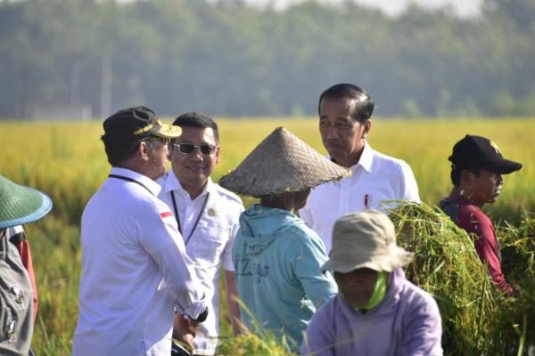 Meski demikian, mantan Gubernur DKI Jakarta itu menekankan bahwa yang paling penting saat ini menentukan harga gabah agar tidak jatuh di di bawah cost atau biaya produksi yang dikeluarkan oleh petani.