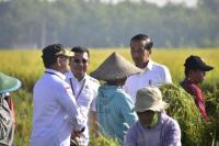 Usai Panen di Ngawi, Presiden Jokowi Ajak Petani Maksimalkan Stok Air