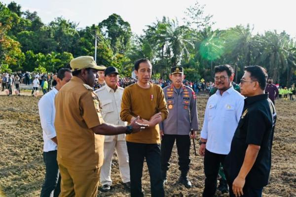 Jokowi kick off food estate 10 ribu hektare lahan jagung di Papua