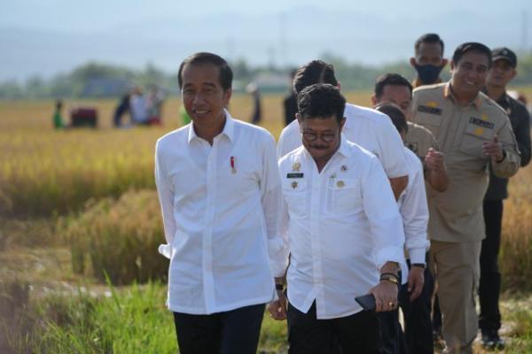 Presiden Jokowi mengakui bahwa meskipun sempat terkena banjir, produktivitas pertanian di Maros yang menggunakan bibit padi hibrida Inpari 32 masih cukup tinggi.