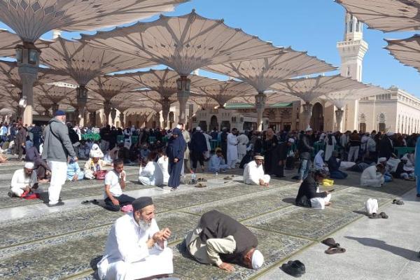 Ziarah ke Madinah, Jemaah Haji Indonesia Tak Dipungut Biaya Kunjungan