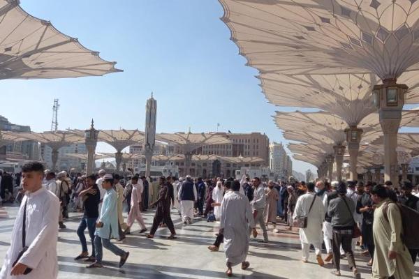 Saudi Raup Rp55 Triliun di Awal Musim Haji