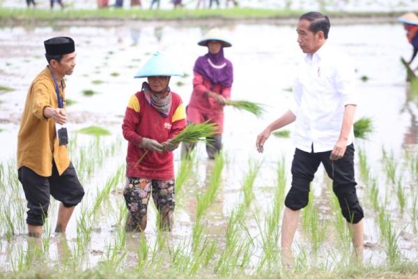 Jokowi juga mengaku senang karena petani di kawasan ini sudah memanfaatkan pupuk organik.