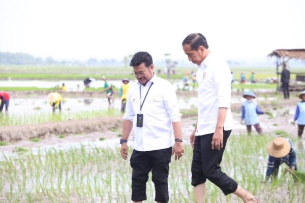 Presiden Jokowi didampingi Mentan SYL lakukan percepatan tanam padi di Tuban