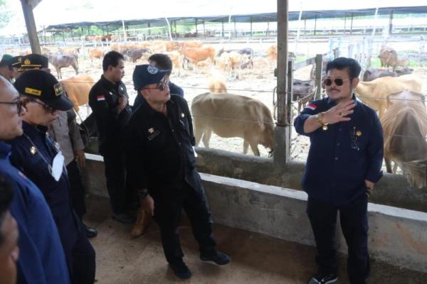 Mentan SYL dorong Sulawesi Selatan jadi sentra sapi potong nasional