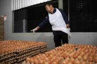 Pantau Ketersedian Telur di Sulsel, Mentan SYL Pastikan Kebutuhan Lebaran Aman