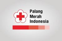 Mayoritas Pemudik Mengeluh Sakit Kepala, Mual dan Lemas