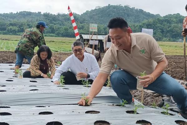 Komoditas Stevia memiliki potensi besar untuk dikembangkan di Kabupaten Minahasa atau di Sulawesi Utara, apalagi lahan yang digunakan untuk pengembangan komoditas ini tidak bermasalah.