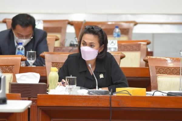 Anggota Komisi I DPR RI Christina Aryani mengaku dirinya turut sedih mendengar informasi bahwa terdapat oknum Tentara Nasional Indonesia (TNI) yang terlibat bisnis jual-beli senjata di wilayah konflik Papua Komando Distrik Militer (Kodam) XVII/Cenderawasih.