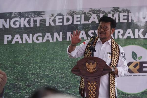 Selama ini, kebutuhan kedelai dipenuhi dari luar negeri karena harus diakui harga kedelai impor lebih murah.