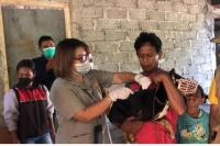 Tekan Penyebaran Virus, Kementan Lakukan Vaksinasi Massal Rabies di Timor Tengah Selatan