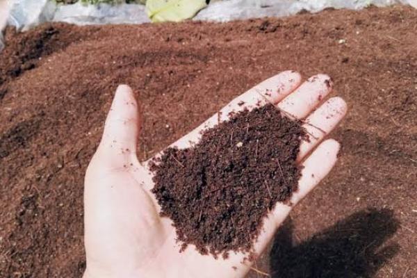 Sekitar 40-45 persen dari kotoran burung walet terbentuk dari material organik yang efektif memperbaiki serta memperkaya struktur dari tanah.