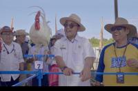 Antisipasi Dicuri, Kementan Minta Ayam Kukuak Balenggek Didaftarkan ke FAO