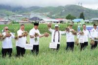Kunjungi Solok, Mentan SYL Dorong Pengembangan Integrated Farming Kawasan Hortikultura