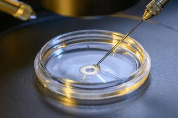 Baru-baru ini, ilmuwan mengklaim bahwa mereka berhasil menciptakan embrio sintetis tanpa mengawinkan sel telur dan sperma.