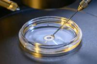 Wow! Kini Embrio Manusia Bisa Diciptakan tanpa Sperma