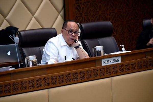 Pemerintah bisa menyikapi itu dan Kementerian PAN RB (Pendayagunaan Aparatur Negara dan Reformasi Birokrasi) juga bisa melakukan koordinasi dengan Ombudsman.