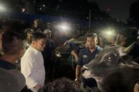 Percepat Izin Jual, Peternak Sapi Bima Sampaikan Terimakasih Ke Kementan