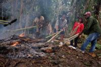BNPB: Kekeringan di Papua Tengah Dipengaruhi Musim Dingin di Australia