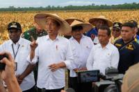Tinjau Food Estate Keerom, Jokowi: Beberapa Masih Perlu Diperbaiki