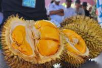 Peluang Ekspor Makin Terbuka: Durian Parigi Muotong, Siap Tampil di Pentas Dunia