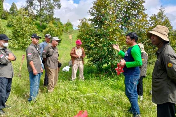 Mitigasi dampak perubahan iklim dapat dilakukan dengan pengembangan kampung durian. Saat ini terdapat jutaan pohon durian dalam bentuk kampung durian.