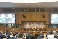 Partisipasi Antarpihak Menguat Saat Indonesia Berupaya Pulih Pasca Covid-19