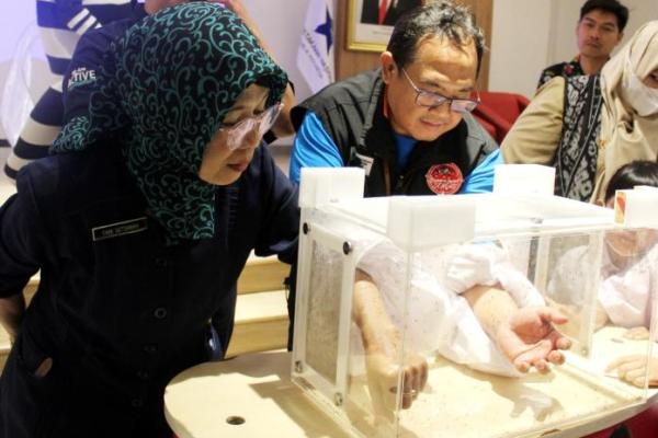 Kemenkes Minta Sekolah Berantas Sarang Nyamuk Demam Berdarah