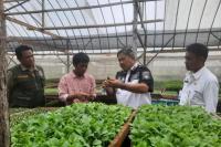 Cermat! Petani Muda Ini Sukses Berbisnis Benih di Kawasan Food Estate Humbahas