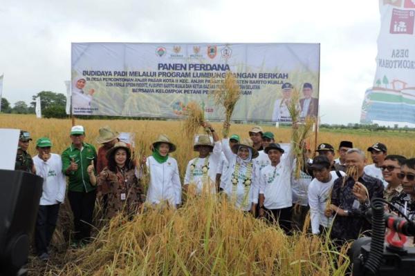 Kemendes PDTT Ajak Petani Barito Kuala Budidayakan Padi Organik