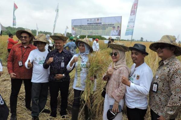 Kementerian Desa, Pembangunan Daerah Tertinggal, dan Transmigrasi (Kemendes, PDTT) menggelar Panen Perdana Budidaya Padi Program Lumbung Pangan Berkah di Desa Anjir Pasar Kota II, Anjir Pasar, Barito Kuala,