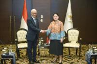 Parlemen RI dan Maroko Sepakat Dorong Kemerdekaan Palestina