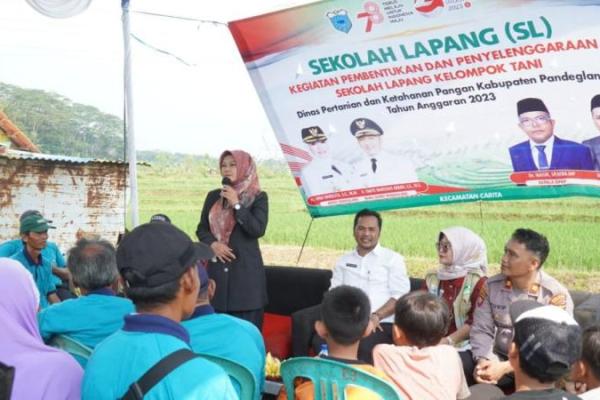 Kegiatan ini dimaksudkan agar petani dapat meningkatkan ilmu dan keterampilannya untuk meningkatkan produktivitas pertanian yang bersumber dari kearifan lokal sehingga menghadapi dampak El Nino atau kemarau panjang tetap mampu menyediakan pangan.