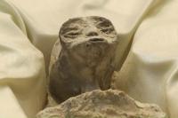 Bukan Bahas Politik, Kongres Meksiko Bersidang tentang UFO dan Alien