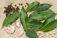 Berikut Manfaat Daun Salam, Bisa Meredakan Stres Loh!