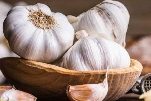 Bukan Mitos! Makanan Ini Bisa Memperlambat Proses Penuaan Tubuh