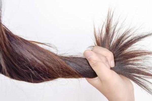 Ingin Rambut Anda Tidak Rusak, Ini Rekomendasi Cara Perawatannya