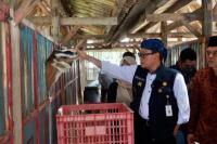 Diversifikasi Produk dan Olahan Kambing Jadi Bukti Keberhasilan P4S Lurisae Purworejo