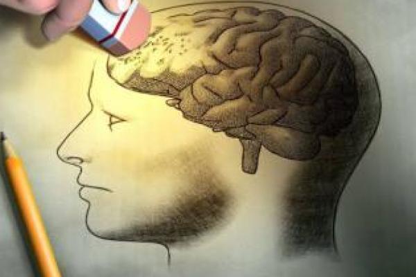 Penelitian menunjukkan sebagaimana pola makan mempengaruhi risiko demensia lebih besar daripada yang diperkirakan sebelumnya.