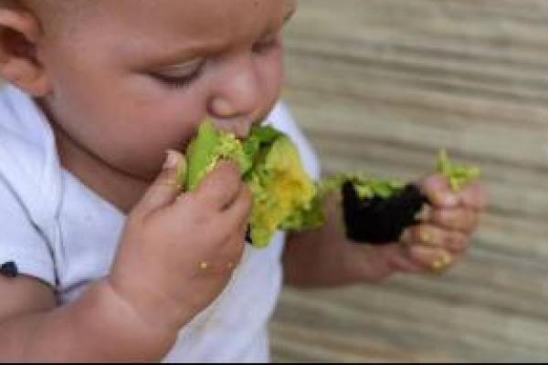 Beragam nutrisi yang terkandung di dalam buah ini diketahui baik untuk mendukung kesehatan dan tumbuh kembang bayi