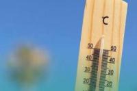 Tips Hadapi Cuaca Panas Ekstrem, Hindari Dehidrasi dan Heatstroke