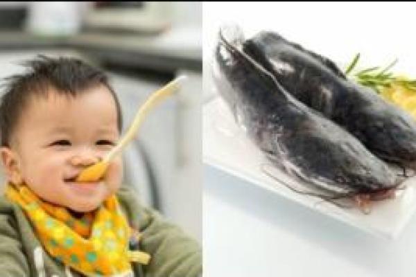 Ikan lele merupakan sumber protein dan asam lemak omega-3 yang baik sebagai menu MPASI bayi. 